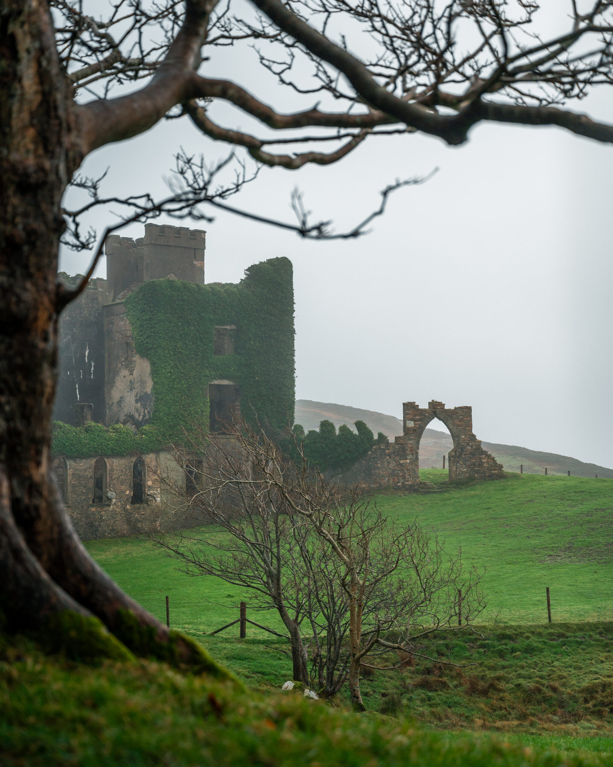 Clifden Castle, Co Galway (13)_master